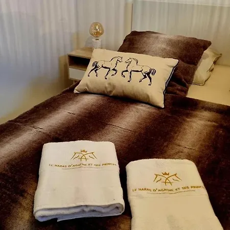 Bed & Breakfast D'hotes Au Haras D'agathe Et Ses Princes *