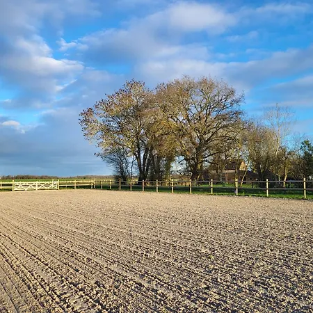 D'hotes Au Haras D'agathe Et Ses Princes * Les Barils